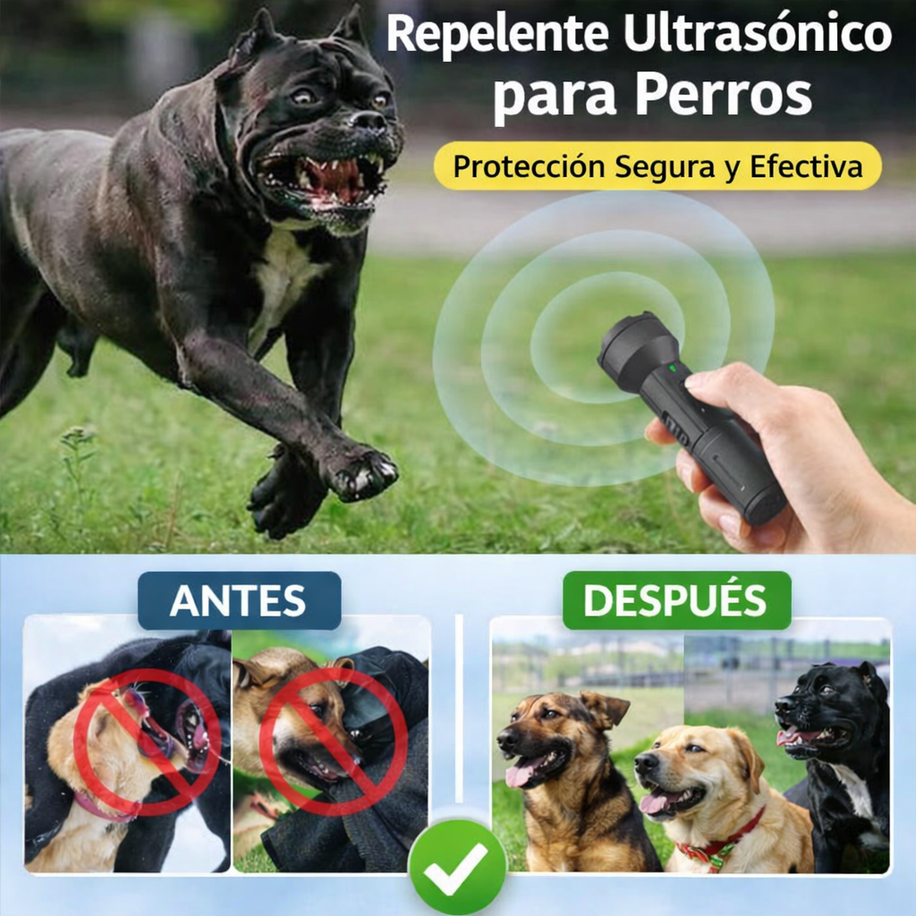 CALMA-CAN®: El secreto para una convivencia en paz y un perrito educado sin recurrir a los gritos.